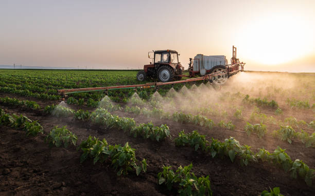 Best Pest Removal Services  in El Cerro, NM